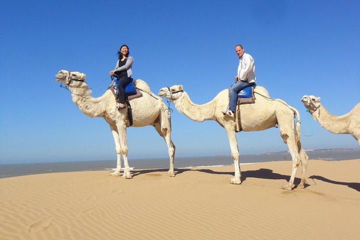 Camel Ride på Essaouria Beach