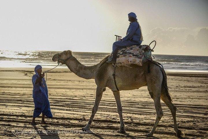 Dag Kameelrit met picknick op het strand van Essaouira