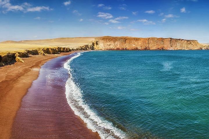 Visite privée de la réserve nationale de Paracas au départ de Paracas ou de Pisco