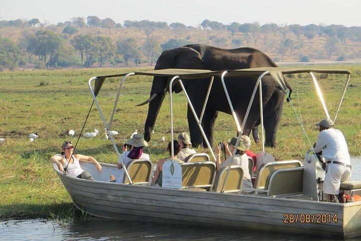 Chobe-dagstur fra Victoria Falls Zimbabwe