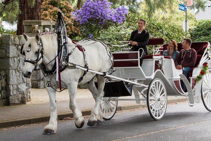 ビクトリア州の歴史ある馬車体験