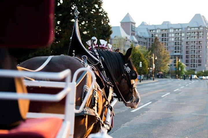ビクトリア州ビーコンヒルパーク馬車体験