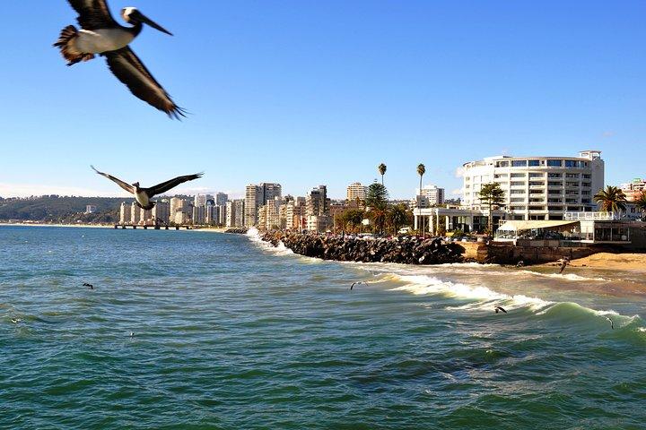 Full-Day Private Bike Tour af Concon Viña del Mar og Valparaiso fra Santiago