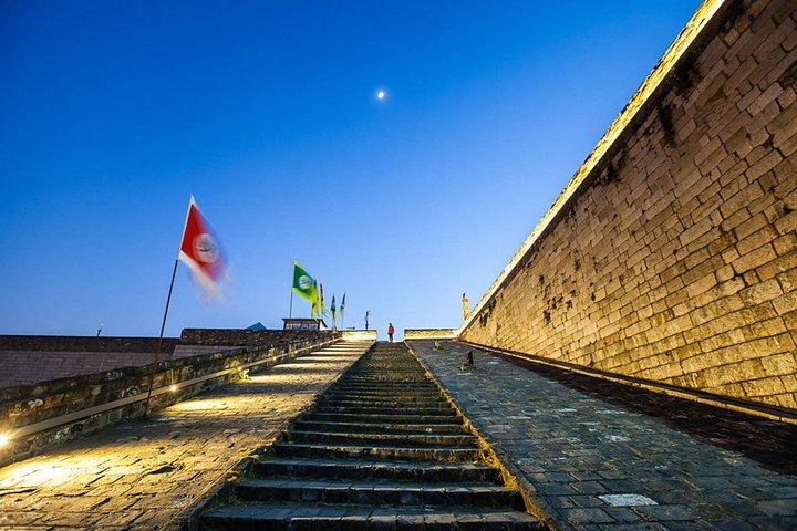 Visite des points forts de la ville de Nanjing, y compris le temple de Confucius avec déjeuner