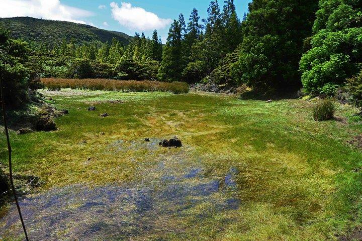 ミステリオス ネグロス ハイキング トレイル - テルセイラ アゾレス諸島