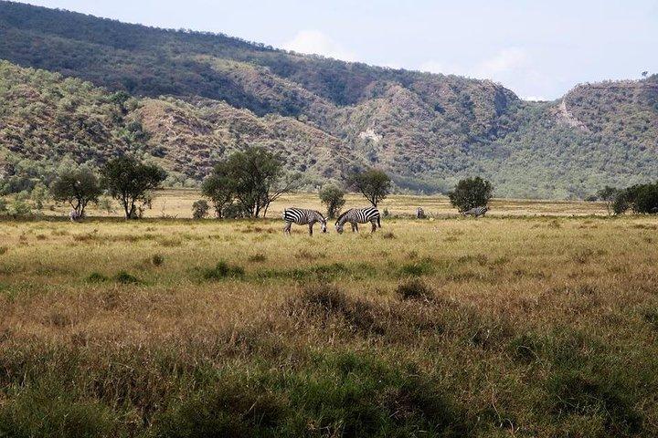 Private Hiking Day Trip to Mt. Longonot uit Nairobi