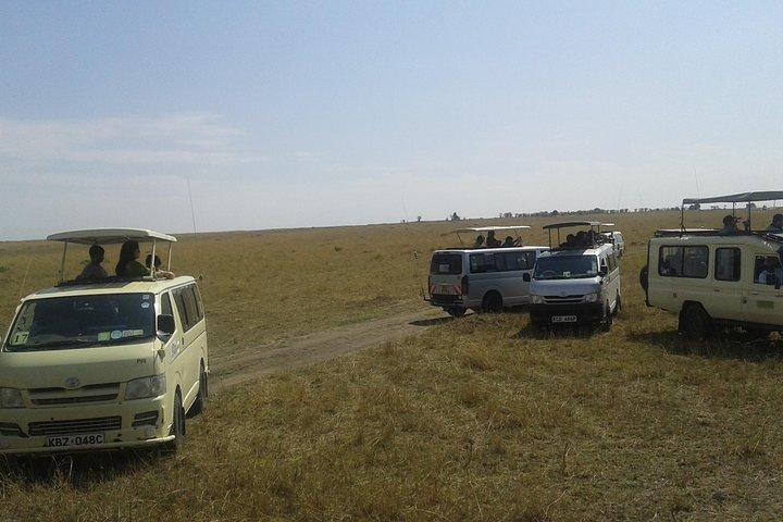 Tour di 14 giorni di Maasai Mara, Serengeti e Zanzibar da Nairobi