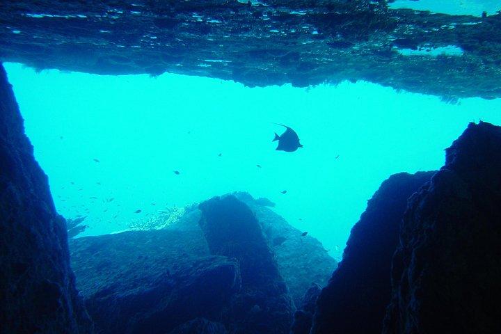 Full-Day Similans Scuba Diving desde Phuket