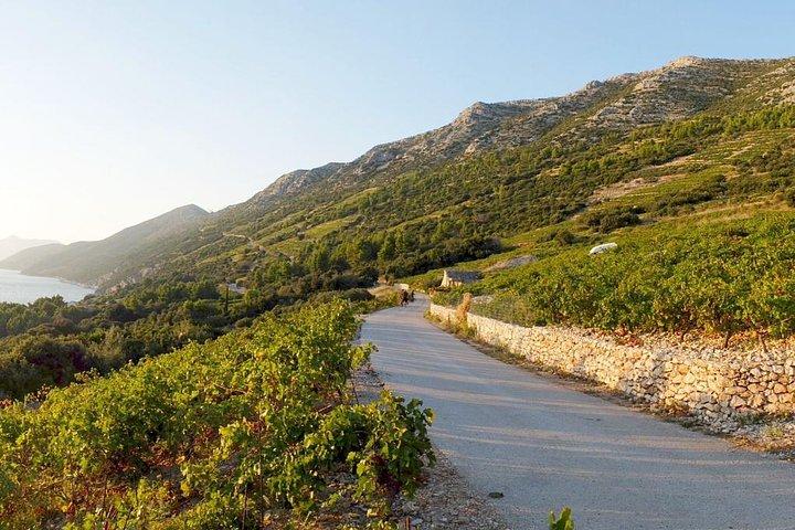 Vinälskares tur på Peljesac Peninsula