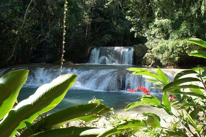 [PRIVAT] YS Falls fra Negril - Indgangsgebyrer + frokost inkluderet