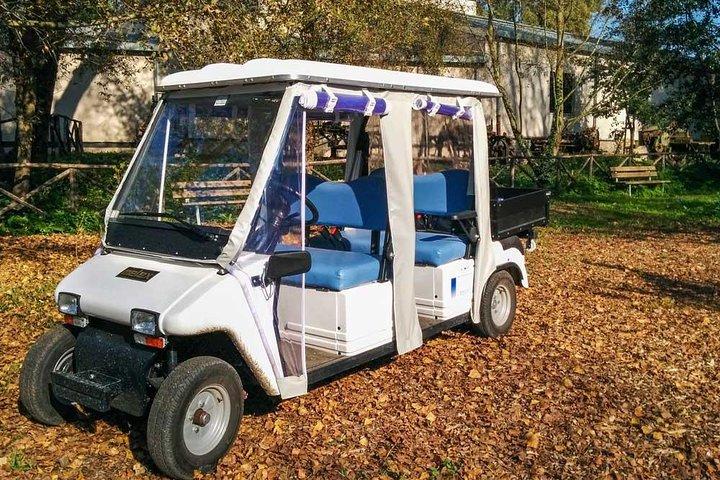 Private Appian Way (Appia Antica) Tour in Rome met de golfkar
