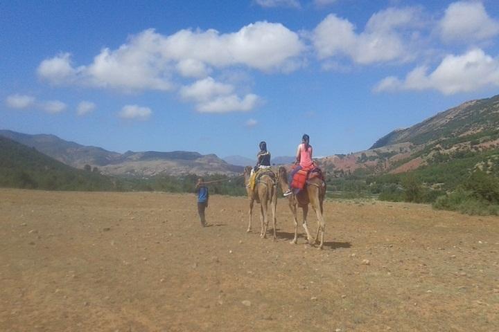 Private Day Trip da Marrakech: Camel Ride and Hike nelle montagne dell'Alto Atlante