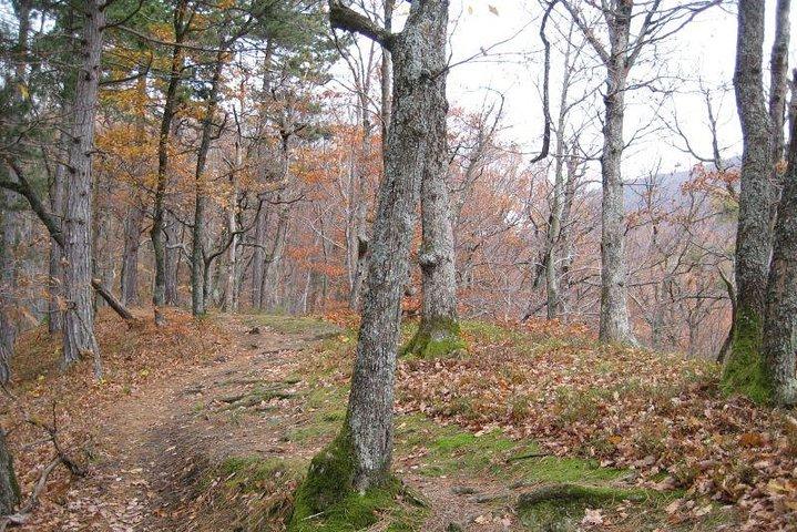 Medvedgrad Fortress: wandeltocht van een halve dag met gids vanuit Zagreb