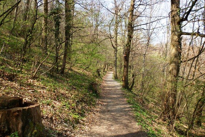 Medvednica Wandelen en kastanjes Picking Tour vanuit Zagreb