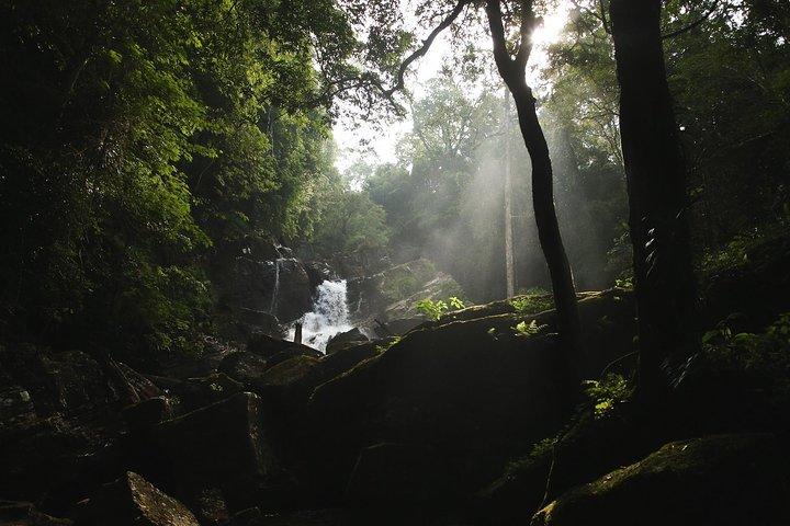 Rainforest Explorer från Bentota (2 dagar)