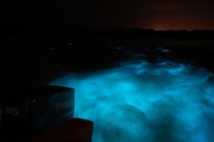 Luminous Lagoon-Night Tour (Falmouth, Ocho Rios o Montego)