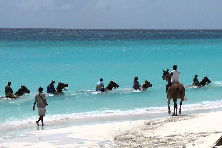 Blue Hole and Horseback Riding e Compras