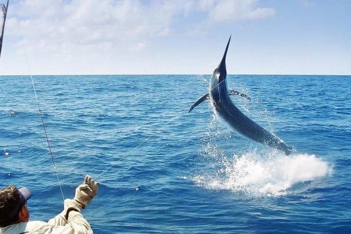 Dybhavsfiskeri Ocho Rios