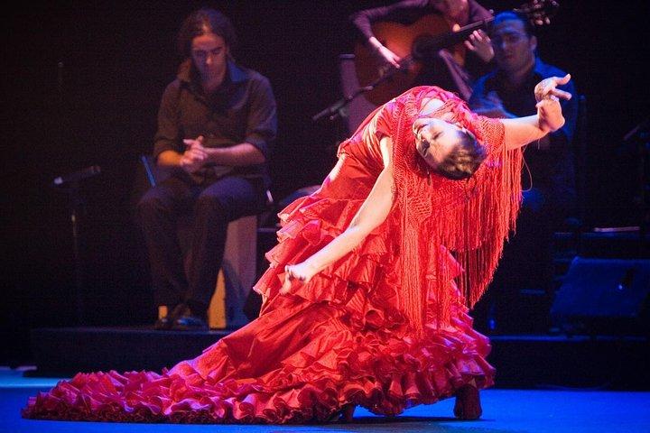 バルセロナ・タパス＆ワインウォーキングツアー（オプション）フラメンコ付き