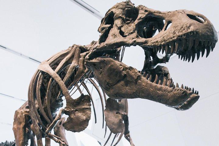 Royal Ontario Museum Admission