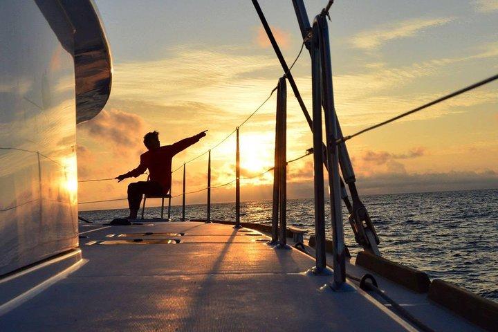 Midnightsun resa - Luxury Catamaran Arctic Princess