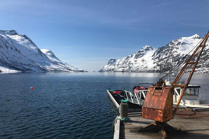 Fjord Sightseeing - miljövänlig Tesla Modell X