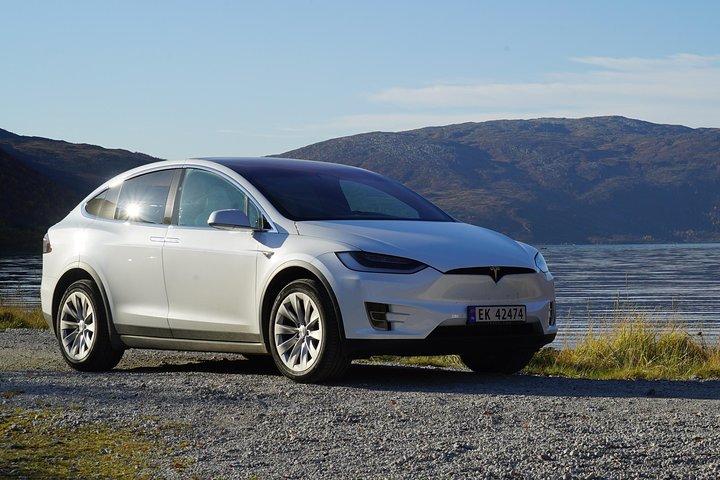 Fjord Sightseeing - Eco Tesla Model X