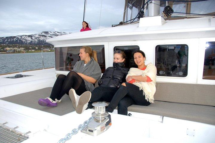 Fjordkryssning med lyxkatamaran i Tromsö