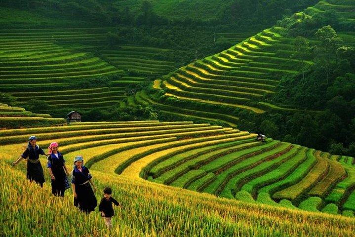 DIE BESTEN SAPA TOUREN 3 TAGE 2 NÄCHTE (01 Nite in 3 * Hotel, 01 Nite in Gastfamilie)