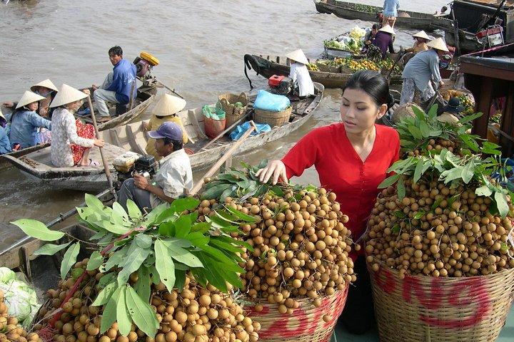 LUXO PRIVADO Delta do Mekong dia inteiro da cidade de HCM