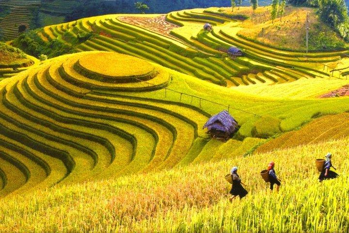 Sapa Trekking Tours - 2 Days 1 Night Stay At Homestay