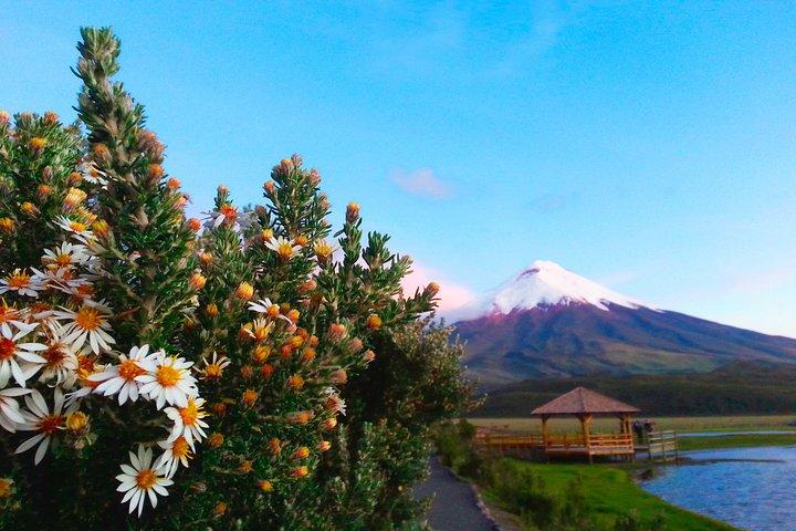 Tour de Día Completo al Cotopaxi Desde Quito con actividades incluidas.