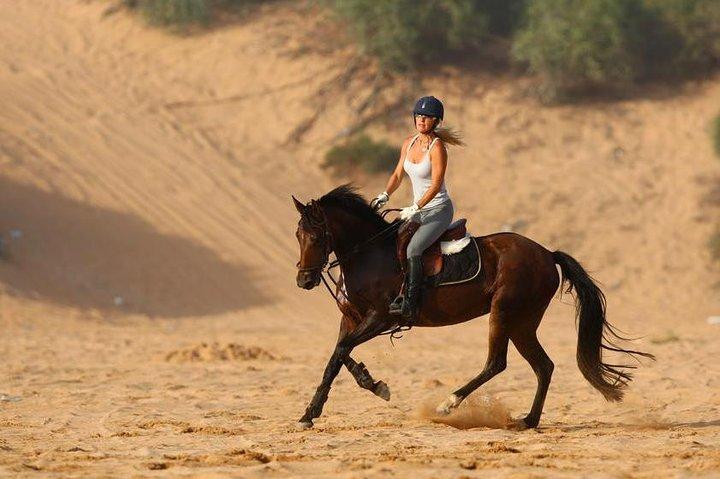 Marrakech Equitazione