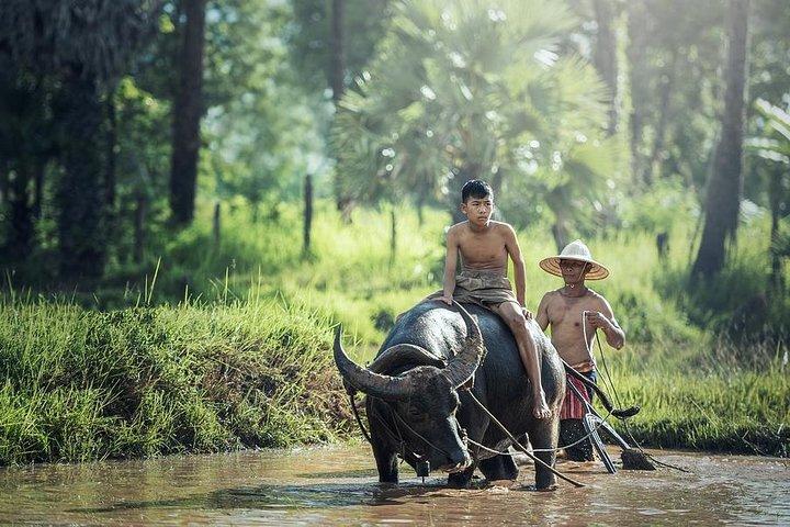 Excursão da vida da vila de Siem Reap