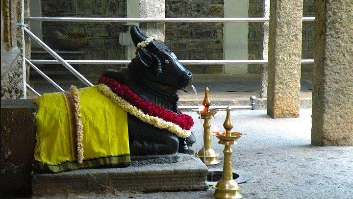 Caminhada histórica de Malleswaram, um passeio a pé envolvente em Bangalore