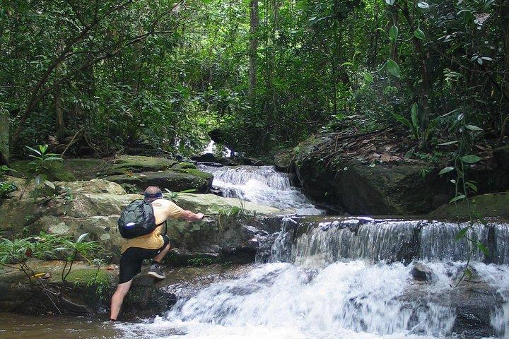 Chiang mai Hike & Downhill Bike Adventure – Parc national de Suthep