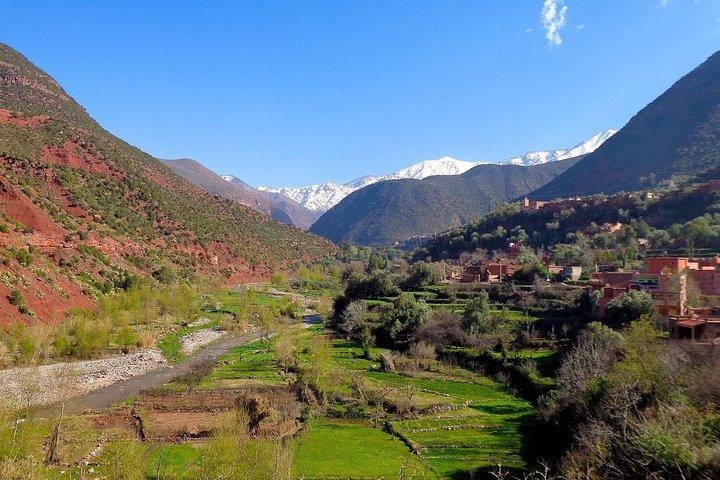 Gita privata di un giorno da Marrakech alle cascate della valle di Ourika