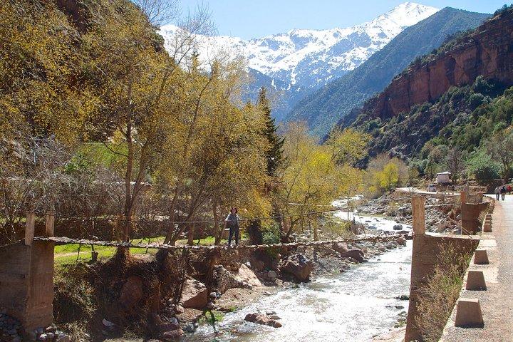 Excursion privée d'une journée de Marrakech aux cascades de la vallée de l'Ourika