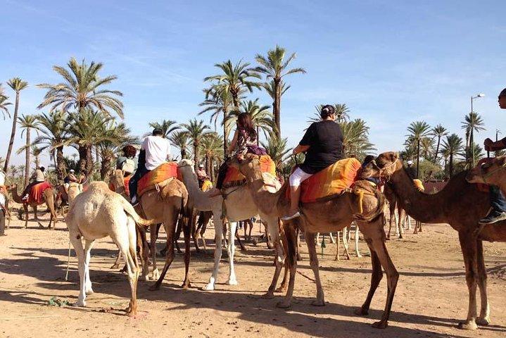 Quad en Camel Ride Full-Day Tour vanuit Marrakech