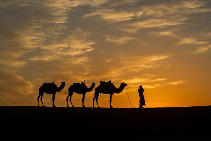 3-dagars Marrakech till Fes sahara ökentur