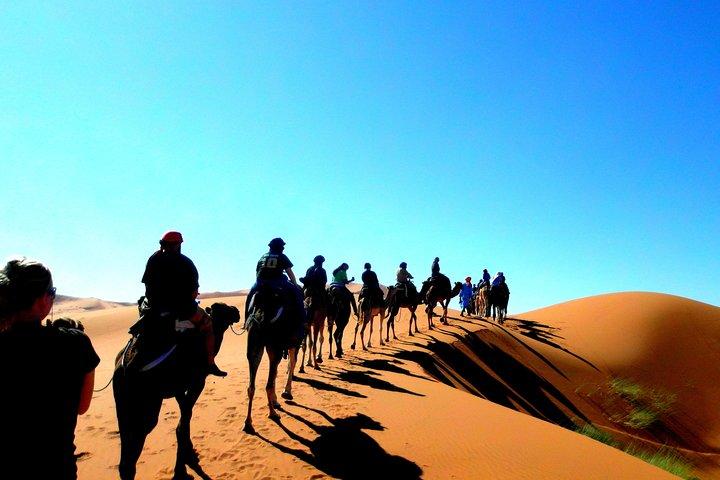 5 Tage Wüstentour von Fes nach Marrakesch mit Erg Chebbi Dünen, Kamel Trekking