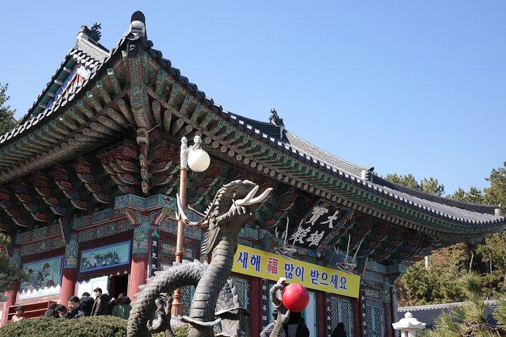 (Vehículo privado) Busan Tailored Tour: Curation for Food, Design, History, Culture