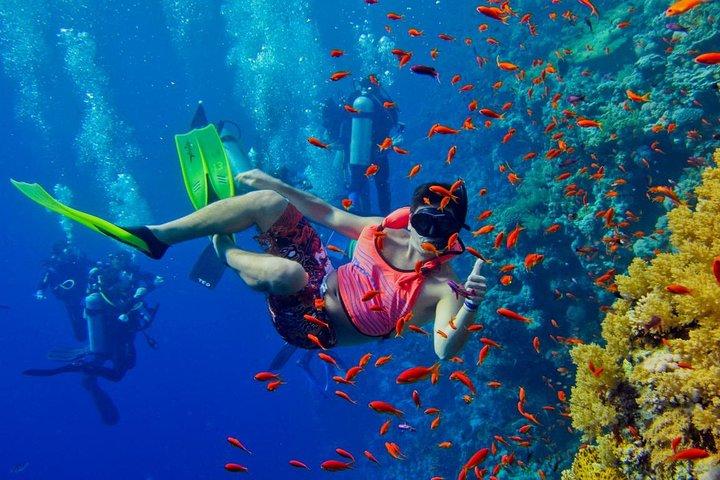 半日Zanzibar Mnemba環礁海洋保護区シュノーケリングツアー