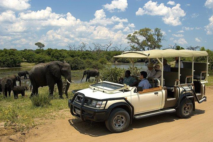 Chobe National Park Pirschfahrt, Botswana