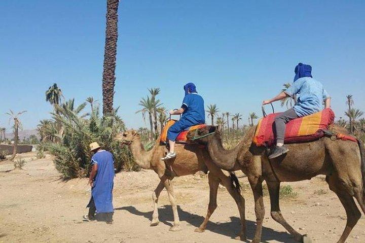 Camel Ride in Marrakech Including Moroccan Tea
