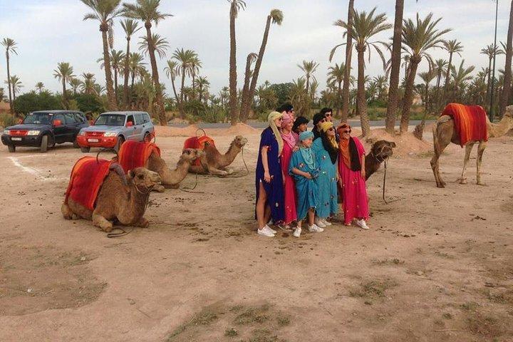 Camel Ride in Marrakech Including Moroccan Tea