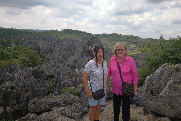 En-dagars Stone Forest Geological Park privat rundtur med lunchen från Kunming