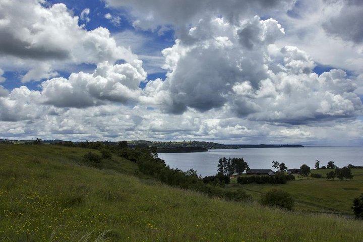 Excursión a Frutillar