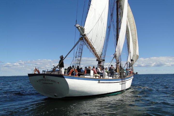 メイン州カムデン発 Windjammer Classic Day Sail