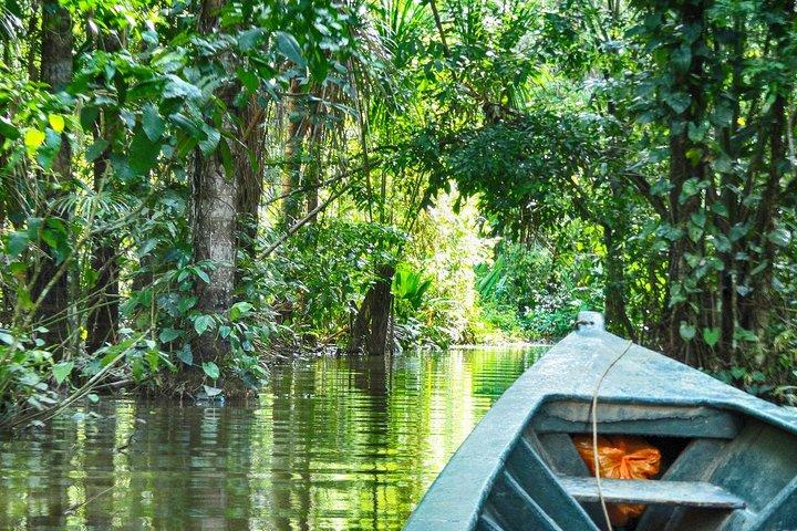 3 Tage 2 Nächte - Tambopata Dschungel